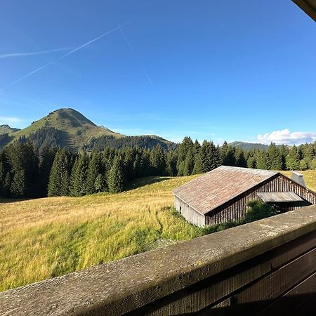 Studio Au Coeur Du Praz-De-Lys - Les Pralyssimes Le Praz de Lys Kültér fotó