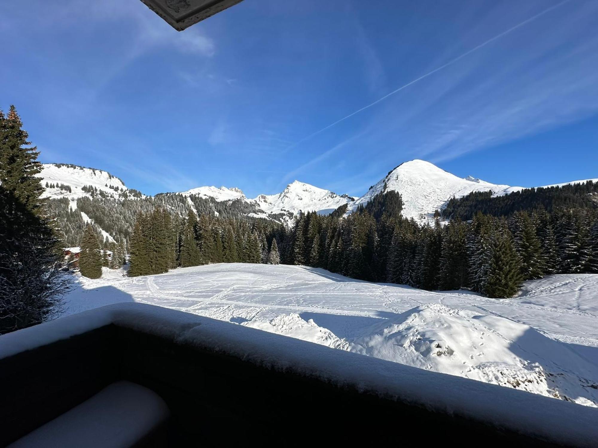 Studio Au Coeur Du Praz-De-Lys - Les Pralyssimes Le Praz de Lys Kültér fotó