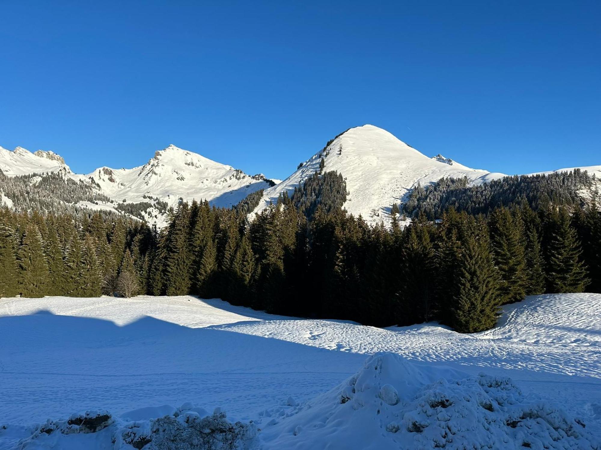 Studio Au Coeur Du Praz-De-Lys - Les Pralyssimes Le Praz de Lys Kültér fotó