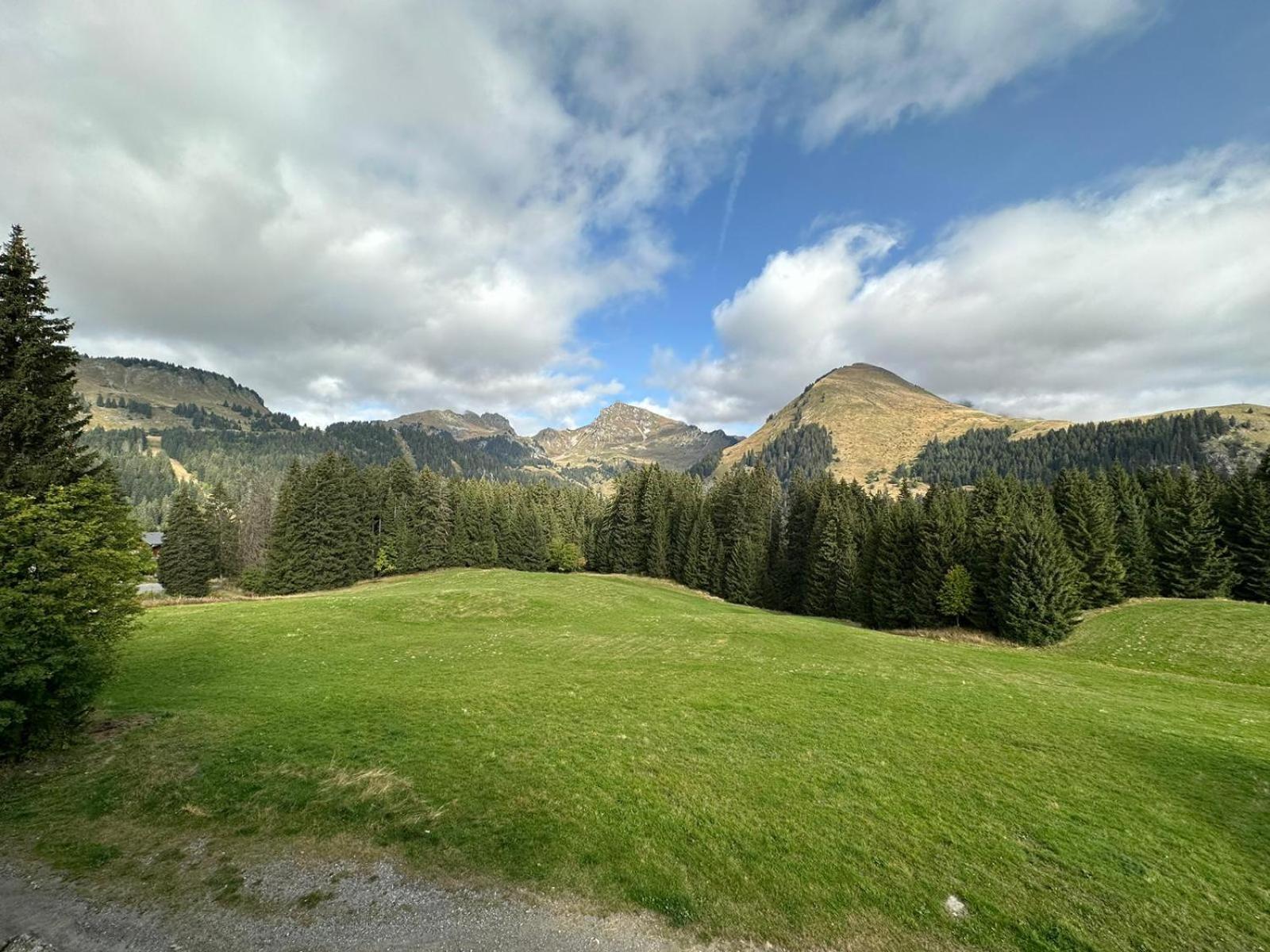 Studio Au Coeur Du Praz-De-Lys - Les Pralyssimes Le Praz de Lys Kültér fotó