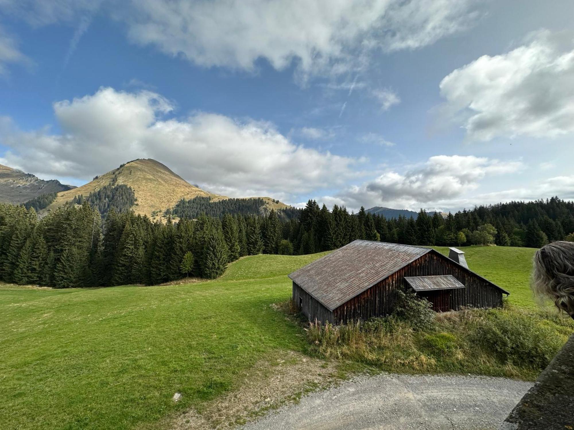 Studio Au Coeur Du Praz-De-Lys - Les Pralyssimes Le Praz de Lys Kültér fotó