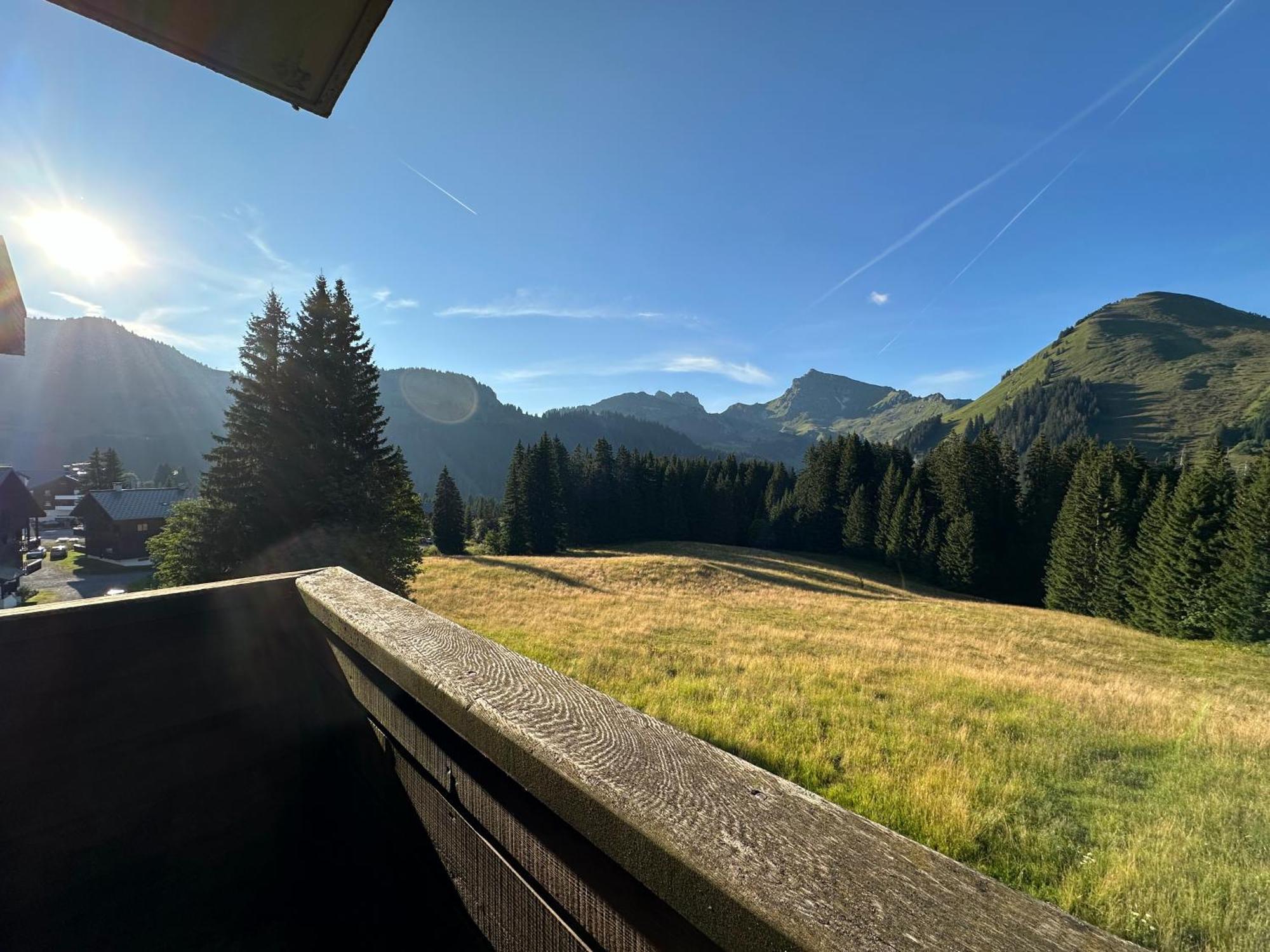 Studio Au Coeur Du Praz-De-Lys - Les Pralyssimes Le Praz de Lys Kültér fotó
